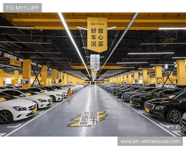 全面解析ag视讯注册安全措施，增强用户信任确保平台稳定运营