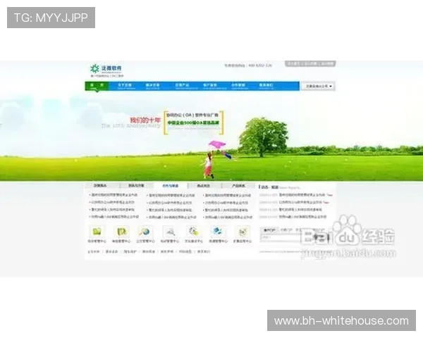 博万体育网站登录遇到困难怎么办全面排查登录失败的常见原因与解决办法