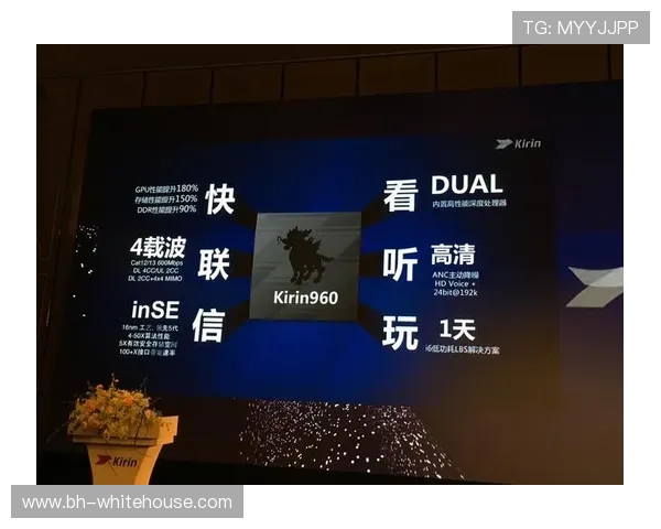 DB真人旗舰中国集团推动行业规范发展,打造诚信安全的真人娱乐平台