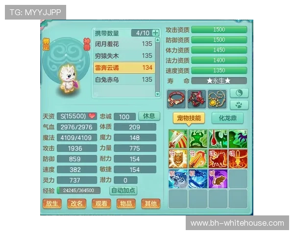 电玩视讯技巧全面解析帮助新手快速入门与提升游戏水平 电玩视讯技巧全面解析帮助新手快速入门与提升游戏水平