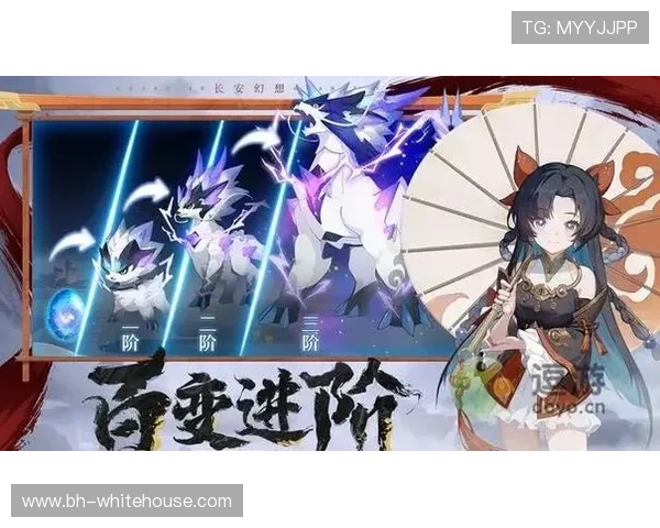 博鱼真人官方入口最新版本下载指南，确保你获得最稳定的游戏客户端